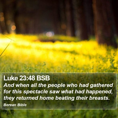 Luke 23:48 BSB Bible Verse Image