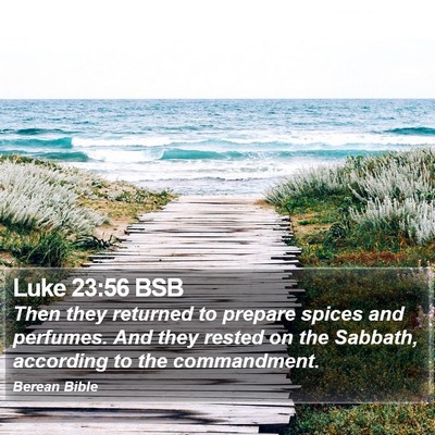 Luke 23:56 BSB Bible Verse Image