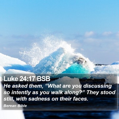 Luke 24:17 BSB Bible Verse Image