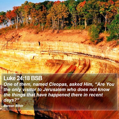 Luke 24:18 BSB Bible Verse Image
