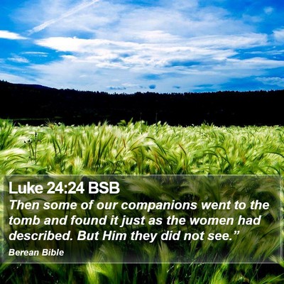 Luke 24:24 BSB Bible Verse Image