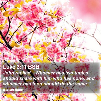 Luke 3:11 BSB Bible Verse Image