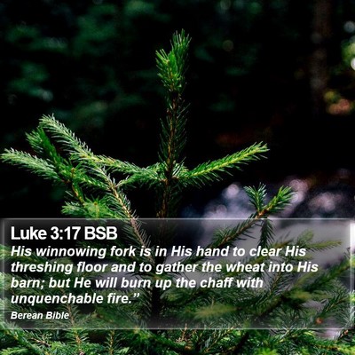 Luke 3:17 BSB Bible Verse Image