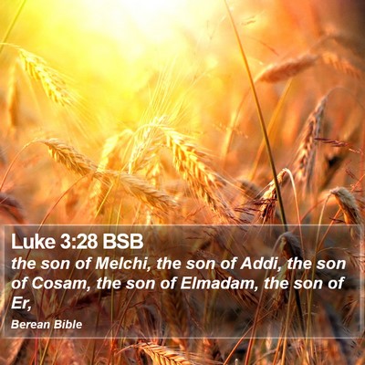 Luke 3:28 BSB Bible Verse Image