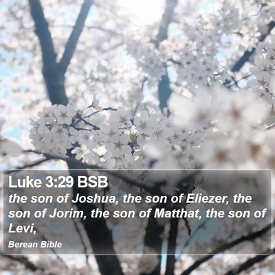 Luke 3:29 BSB Bible Verse Image