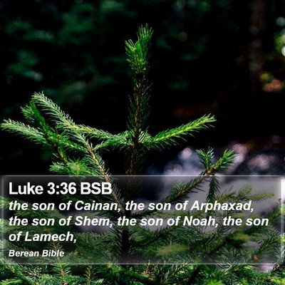 Luke 3:36 BSB Bible Verse Image