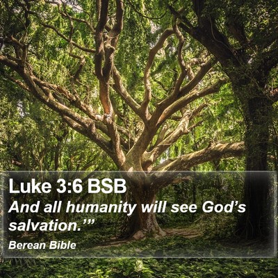 Luke 3:6 BSB Bible Verse Image