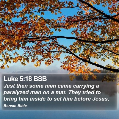 Luke 5:18 BSB Bible Verse Image