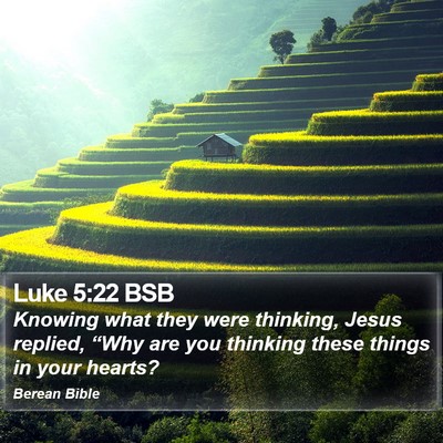 Luke 5:22 BSB Bible Verse Image