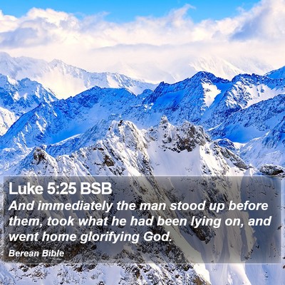 Luke 5:25 BSB Bible Verse Image