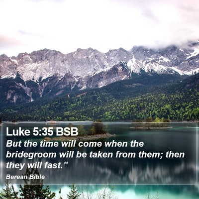 Luke 5:35 BSB Bible Verse Image