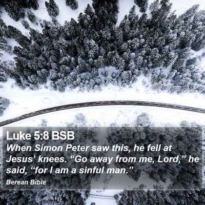 Luke 5:8 BSB Bible Verse Image