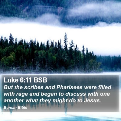 Luke 6:11 BSB Bible Verse Image