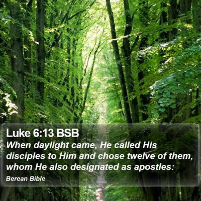 Luke 6:13 BSB Bible Verse Image