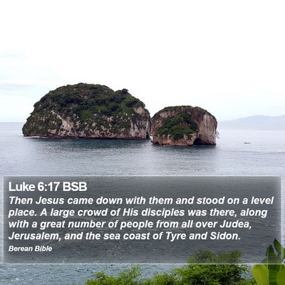 Luke 6:17 BSB Bible Verse Image