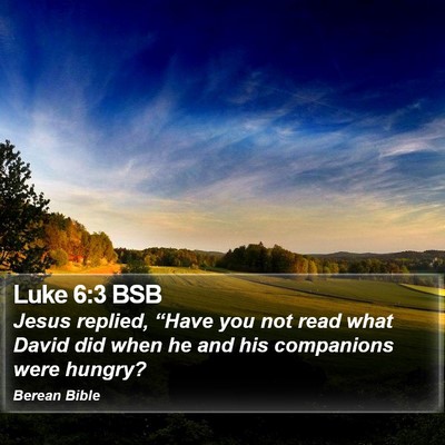 Luke 6:3 BSB Bible Verse Image
