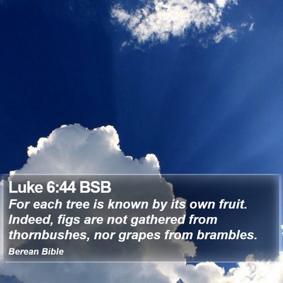 Luke 6:44 BSB Bible Verse Image
