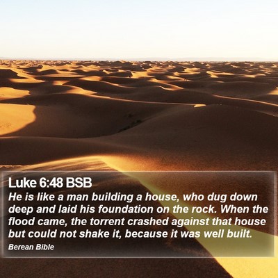 Luke 6:48 BSB Bible Verse Image