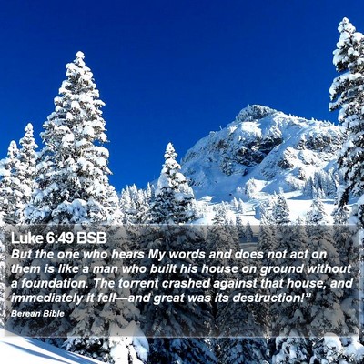 Luke 6:49 BSB Bible Verse Image