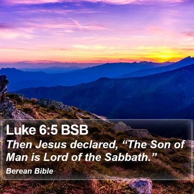 Luke 6:5 BSB Bible Verse Image