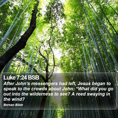 Luke 7:24 BSB Bible Verse Image