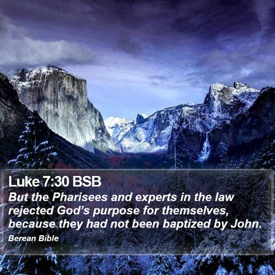 Luke 7:30 BSB Bible Verse Image