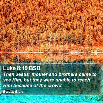 Luke 8:19 BSB Bible Verse Image