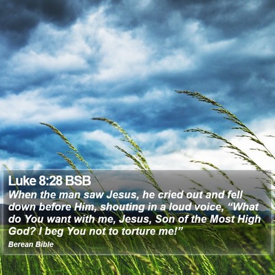 Luke 8:28 BSB Bible Verse Image