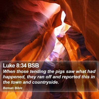 Luke 8:34 BSB Bible Verse Image