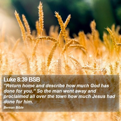 Luke 8:39 BSB Bible Verse Image