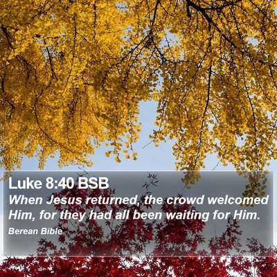 Luke 8:40 BSB Bible Verse Image