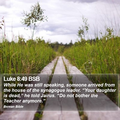 Luke 8:49 BSB Bible Verse Image