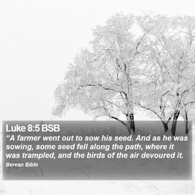 Luke 8:5 BSB Bible Verse Image
