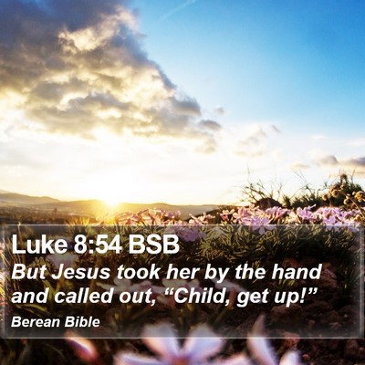 Luke 8:54 BSB Bible Verse Image