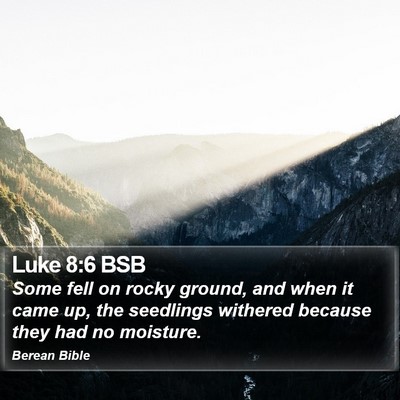 Luke 8:6 BSB Bible Verse Image