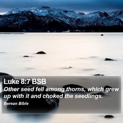 Luke 8:7 BSB Bible Verse Image