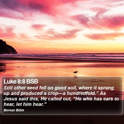 Luke 8:8 BSB Bible Verse Image