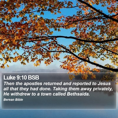 Luke 9:10 BSB Bible Verse Image