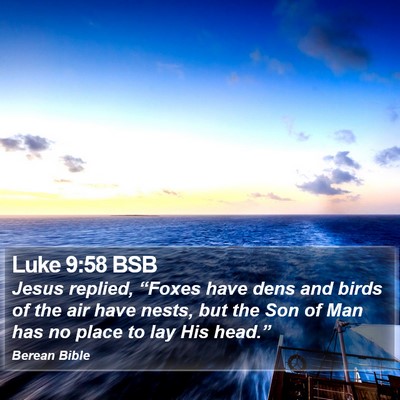 Luke 9:58 BSB Bible Verse Image