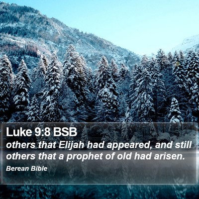 Luke 9:8 BSB Bible Verse Image