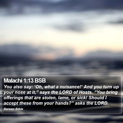 Malachi 1:13 BSB Bible Verse Image