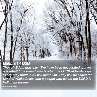 Malachi 1:4 BSB Bible Verse Image