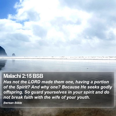 Malachi 2:15 BSB Bible Verse Image
