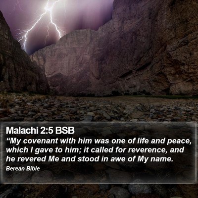 Malachi 2:5 BSB Bible Verse Image