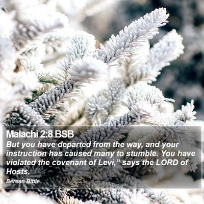 Malachi 2:8 BSB Bible Verse Image