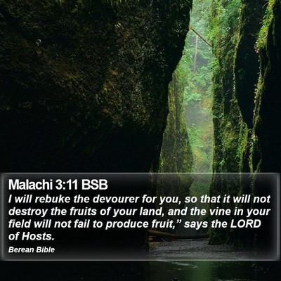 Malachi 3:11 BSB Bible Verse Image