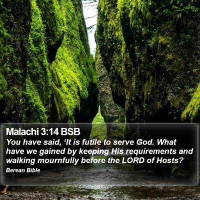 Malachi 3:14 BSB Bible Verse Image