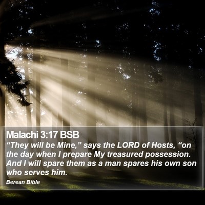 Malachi 3:17 BSB Bible Verse Image