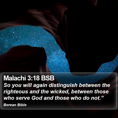 Malachi 3:18 BSB Bible Verse Image