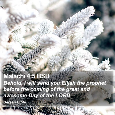 Malachi 4:5 BSB Bible Verse Image